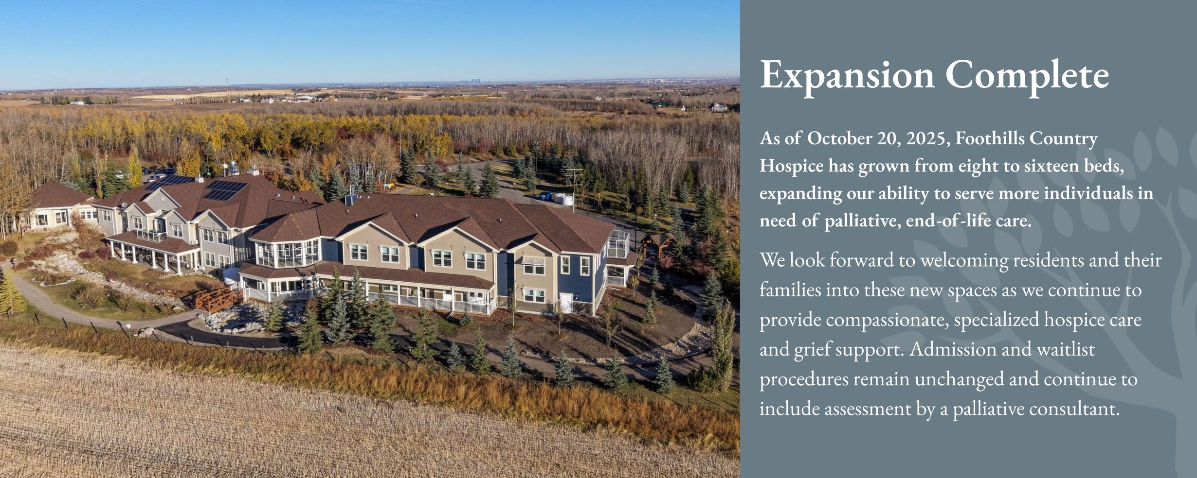 Blue Vibrant an White Modern Professional Website Development Services Banner (80 x 32 in) (1)