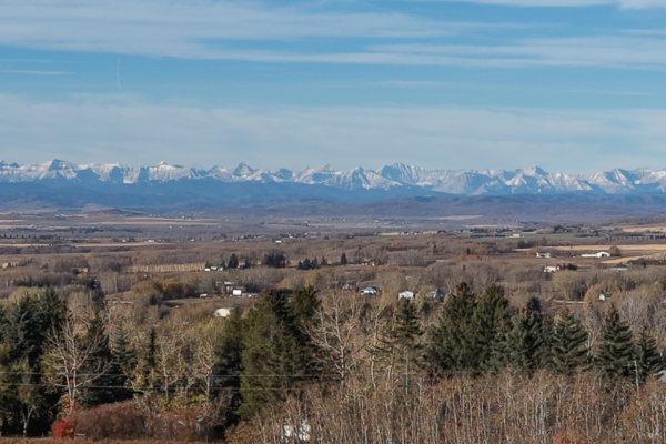 Untitled design (10)